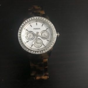 Tortoise fossil watch
